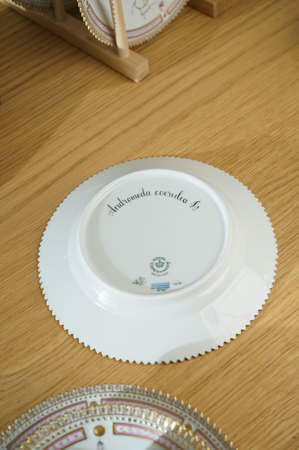 671866222_2399771990524500_1699848986411775208_n