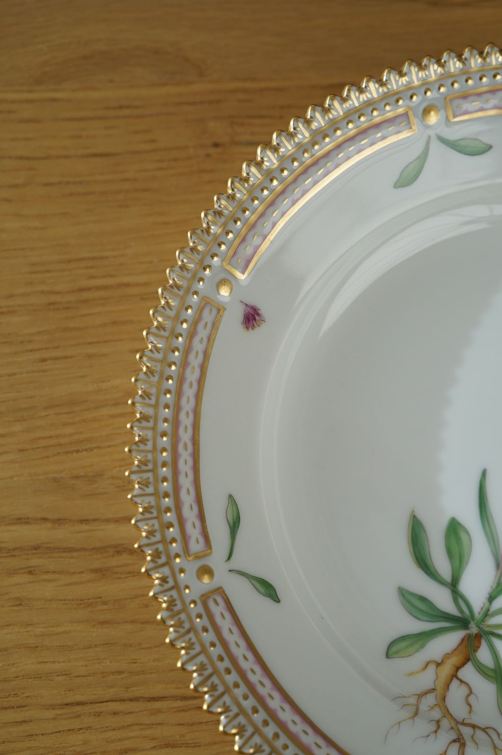 673191812_2399770677191298_7182450684996264669_n