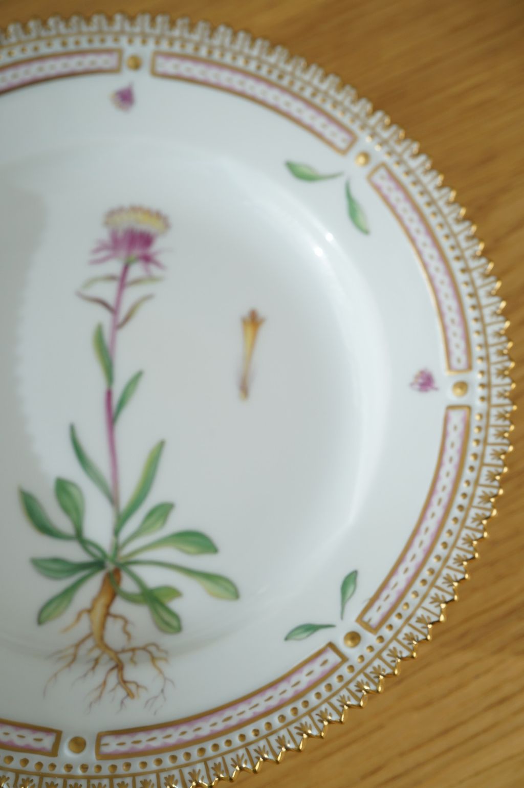 673496979_2399770660524633_7801589111397830821_n