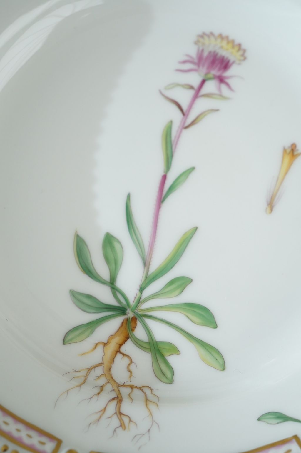 672674662_2399770740524625_5400178626723519313_n