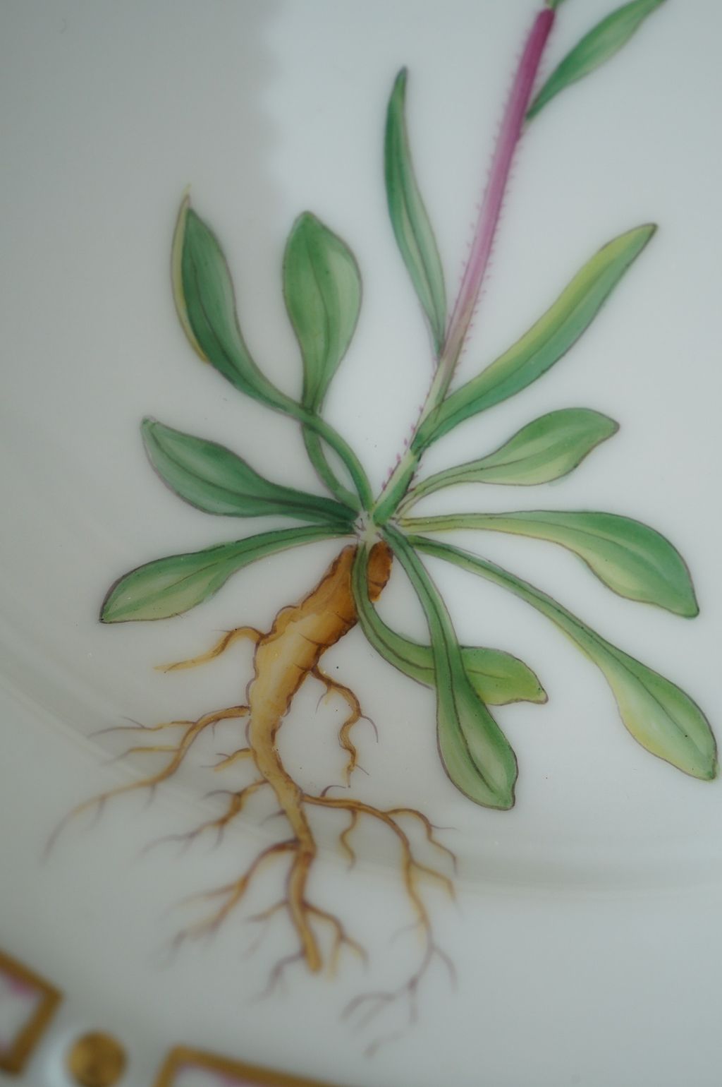 672993801_2399770787191287_7676103870682996708_n