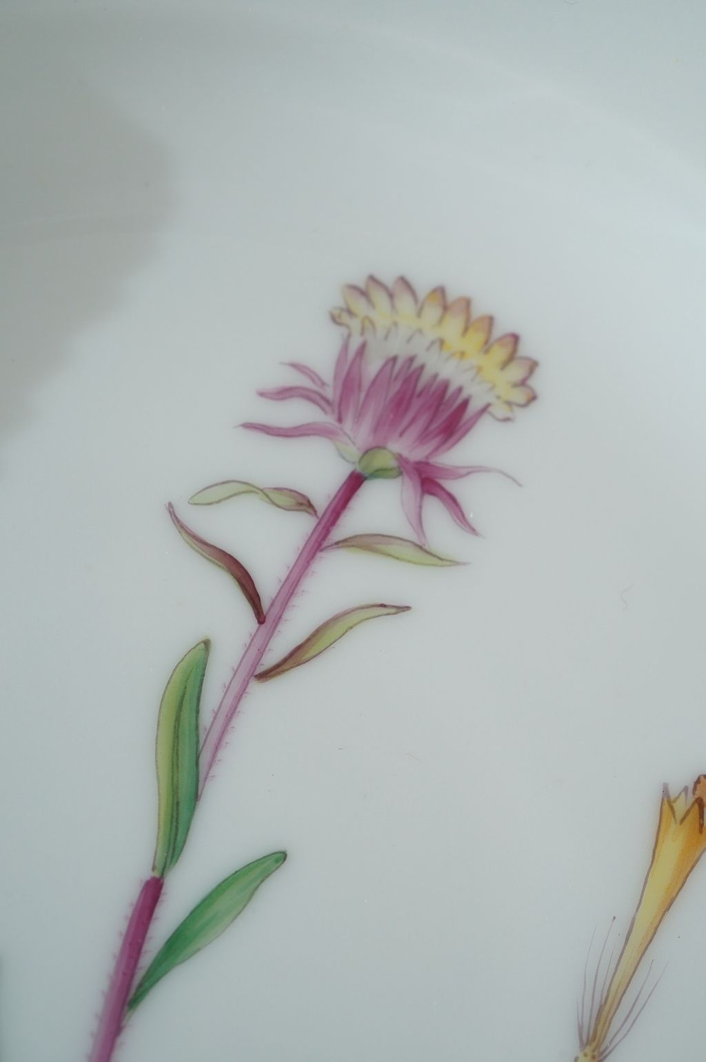 672644000_2399770773857955_4921042003350191936_n