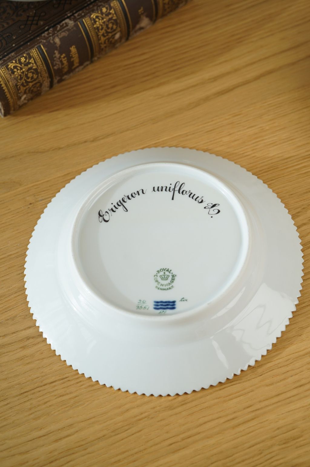 672146949_2399770880524611_6247313943706638905_n