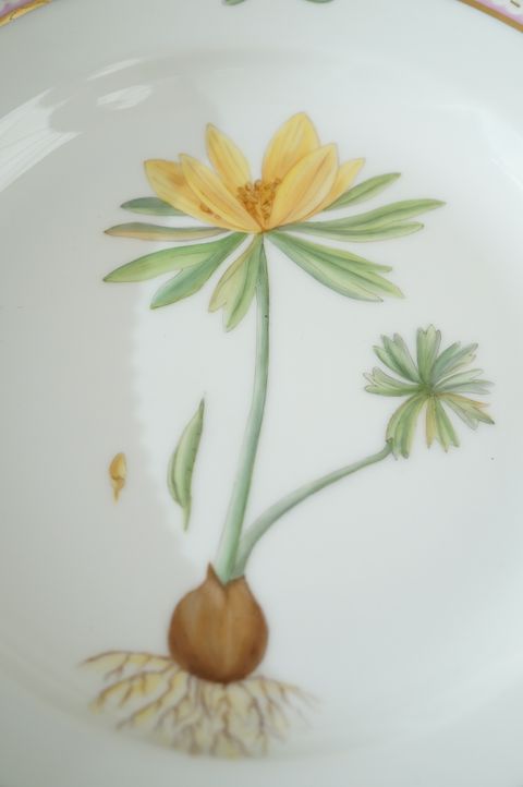 671812954_2399770200524679_5573604457079819574_n