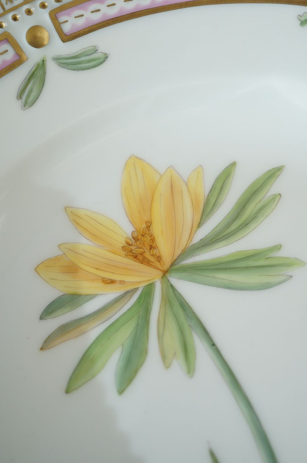 671118040_2399770220524677_6949551331497667717_n