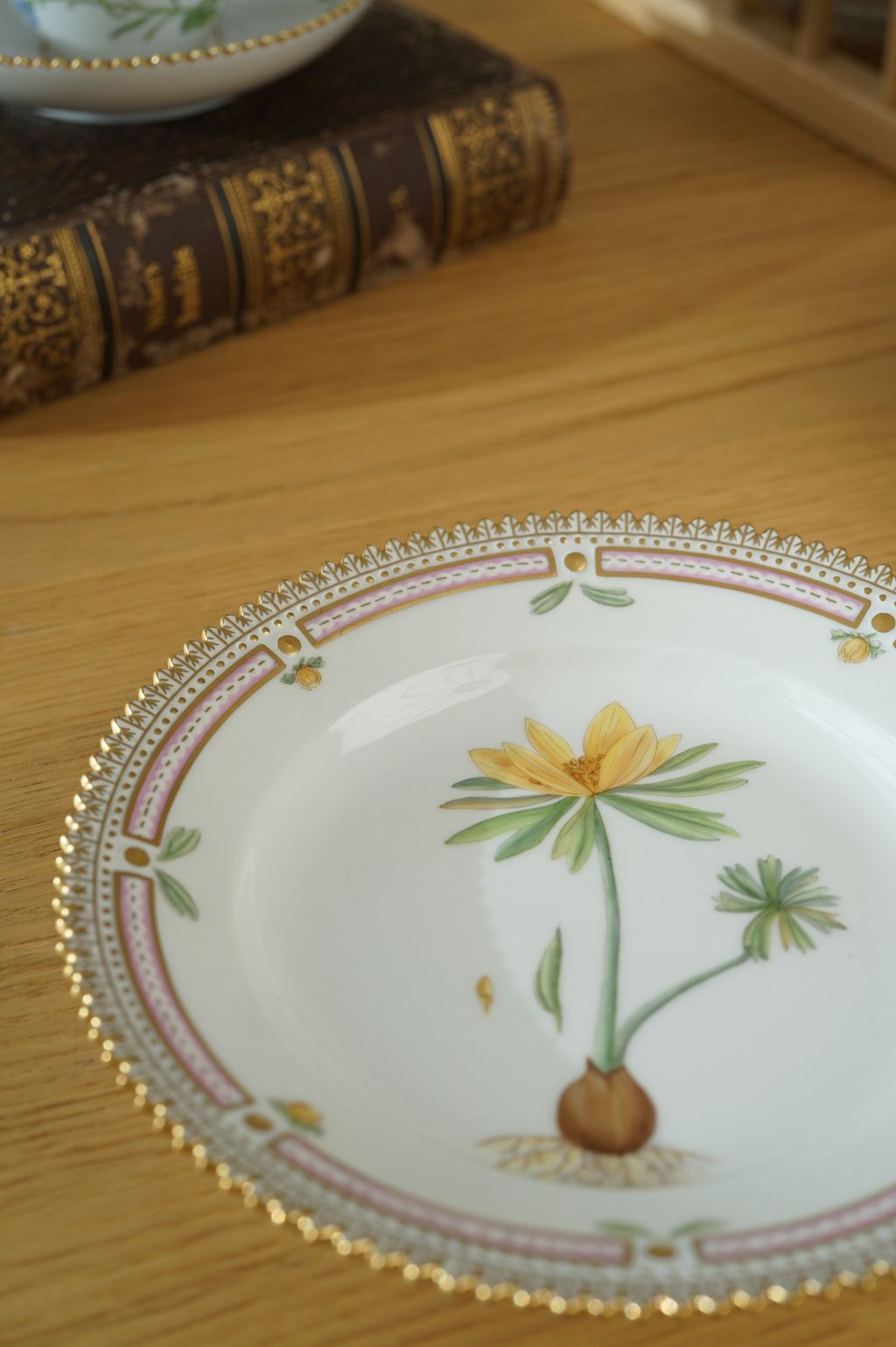 674009987_2399770300524669_8691401801305817340_n