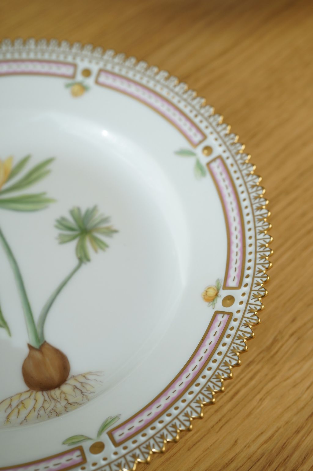 672682875_2399770320524667_8397116811384125952_n