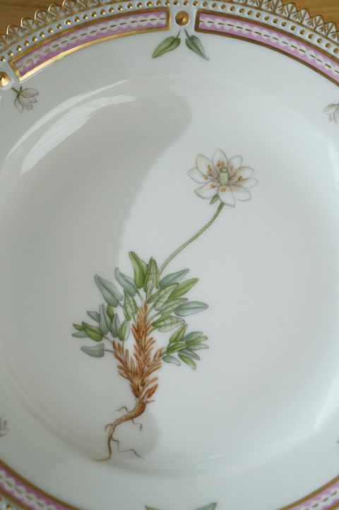 671629702_2399769477191418_3308236354788447500_n