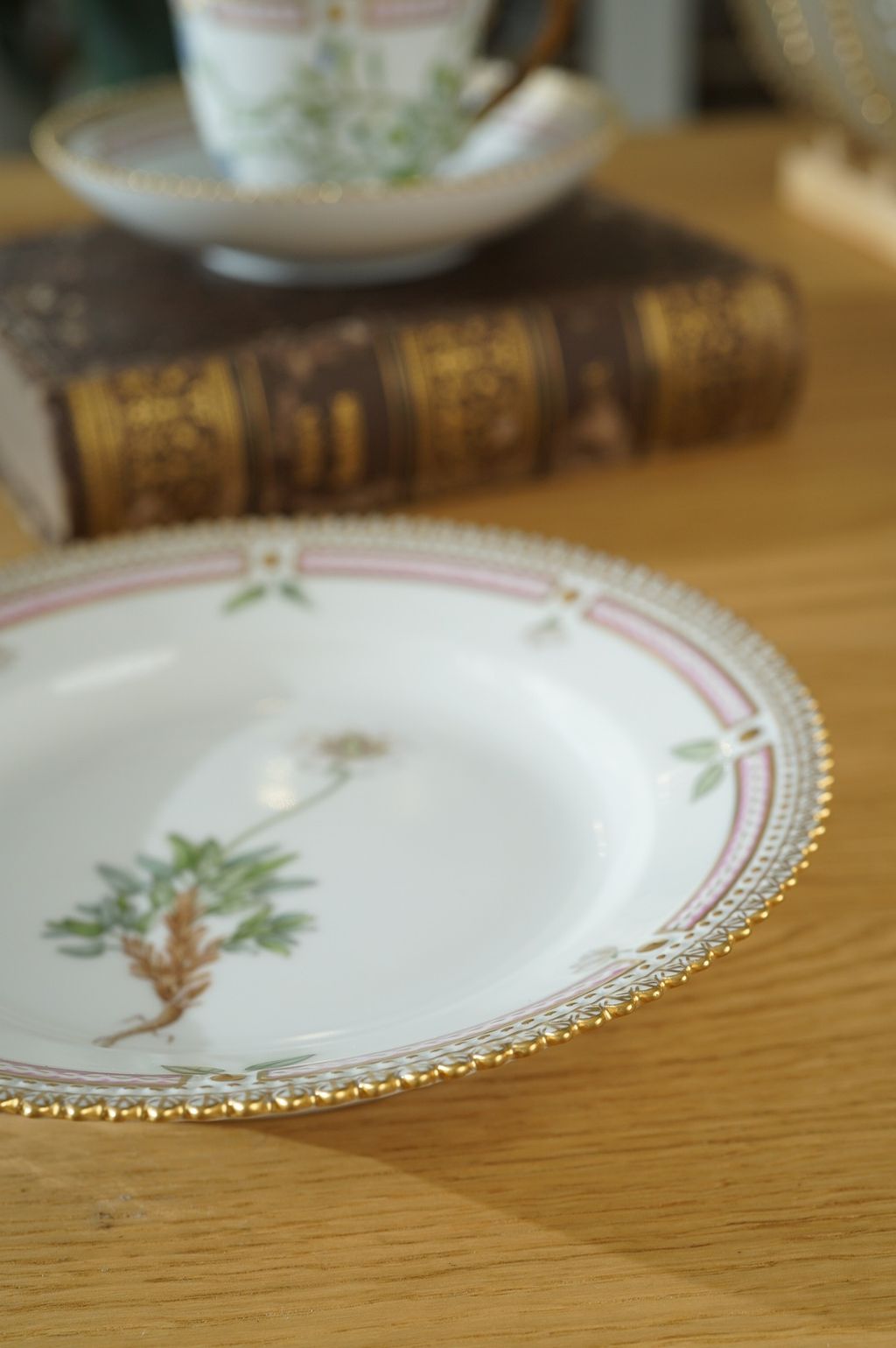 671128601_2399769600524739_5615464061698060713_n