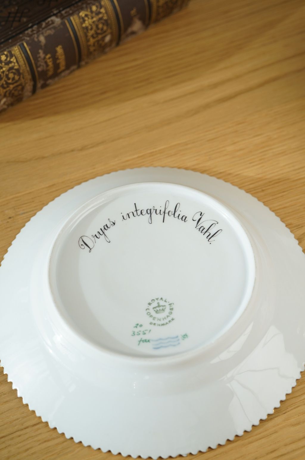 672682881_2399769680524731_7279079120160179621_n