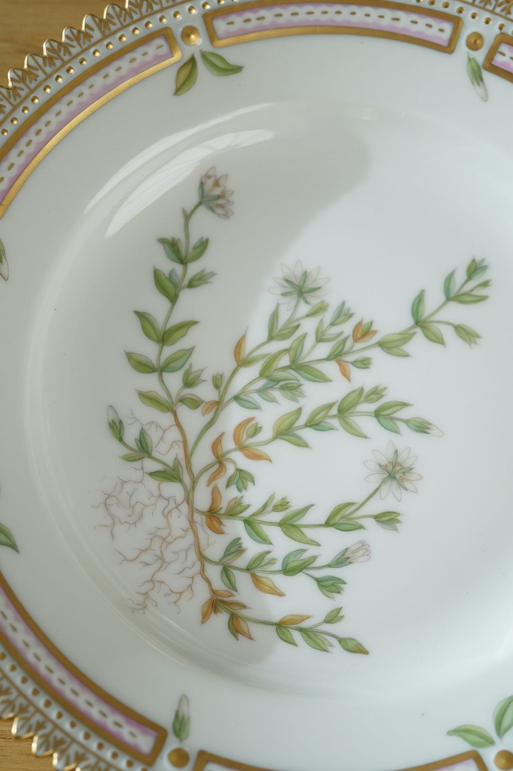 672682890_2399768963858136_6776805782524040036_n