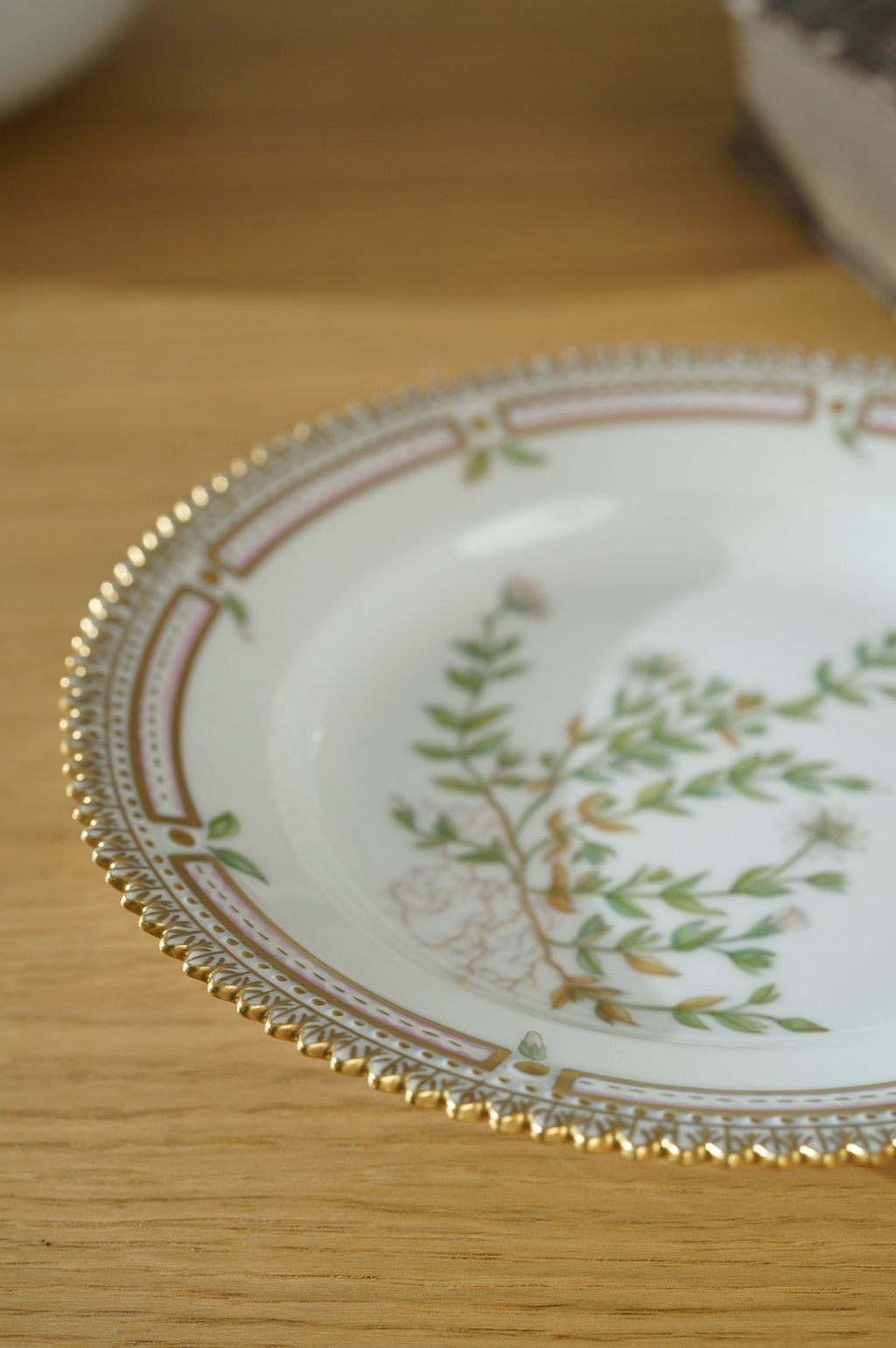 672679047_2399769087191457_7961489465689746485_n