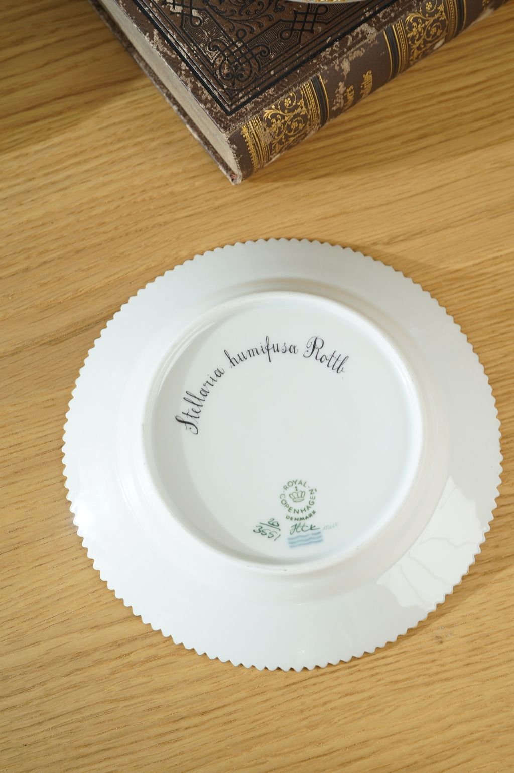 673496981_2399769107191455_5773230287073781257_n