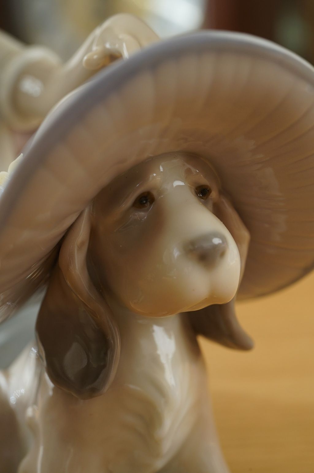 670494343_2398163727351993_3084534952703809394_n