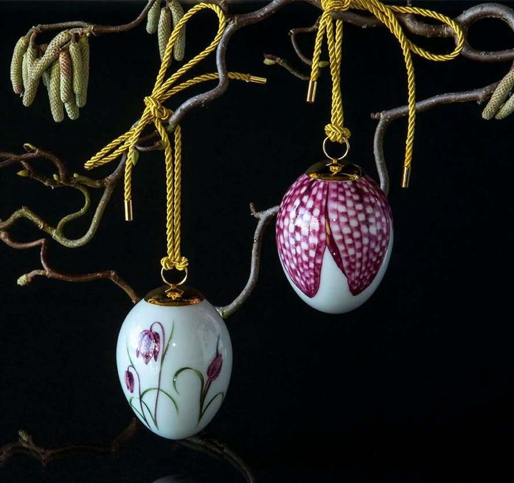 674230633_2402323800269319_7303385628213728016_n