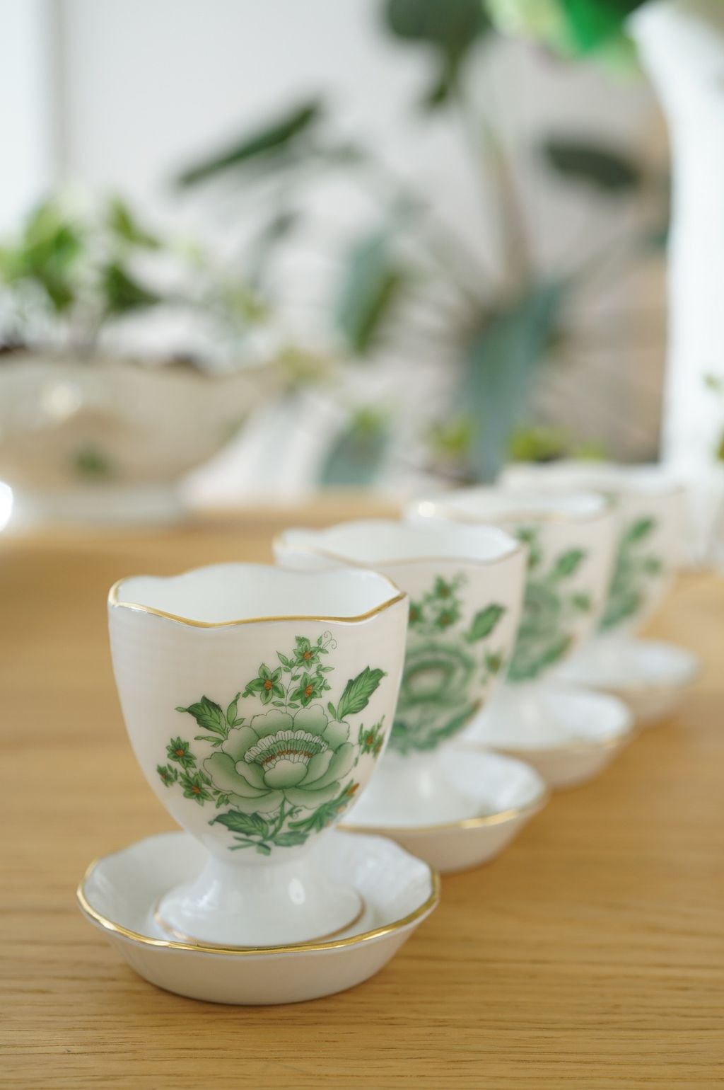 701437164_2426784044489961_6596512977383363707_n