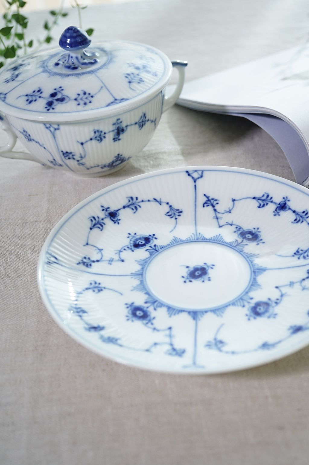 468821666_1978006479367722_1685504191888990076_n