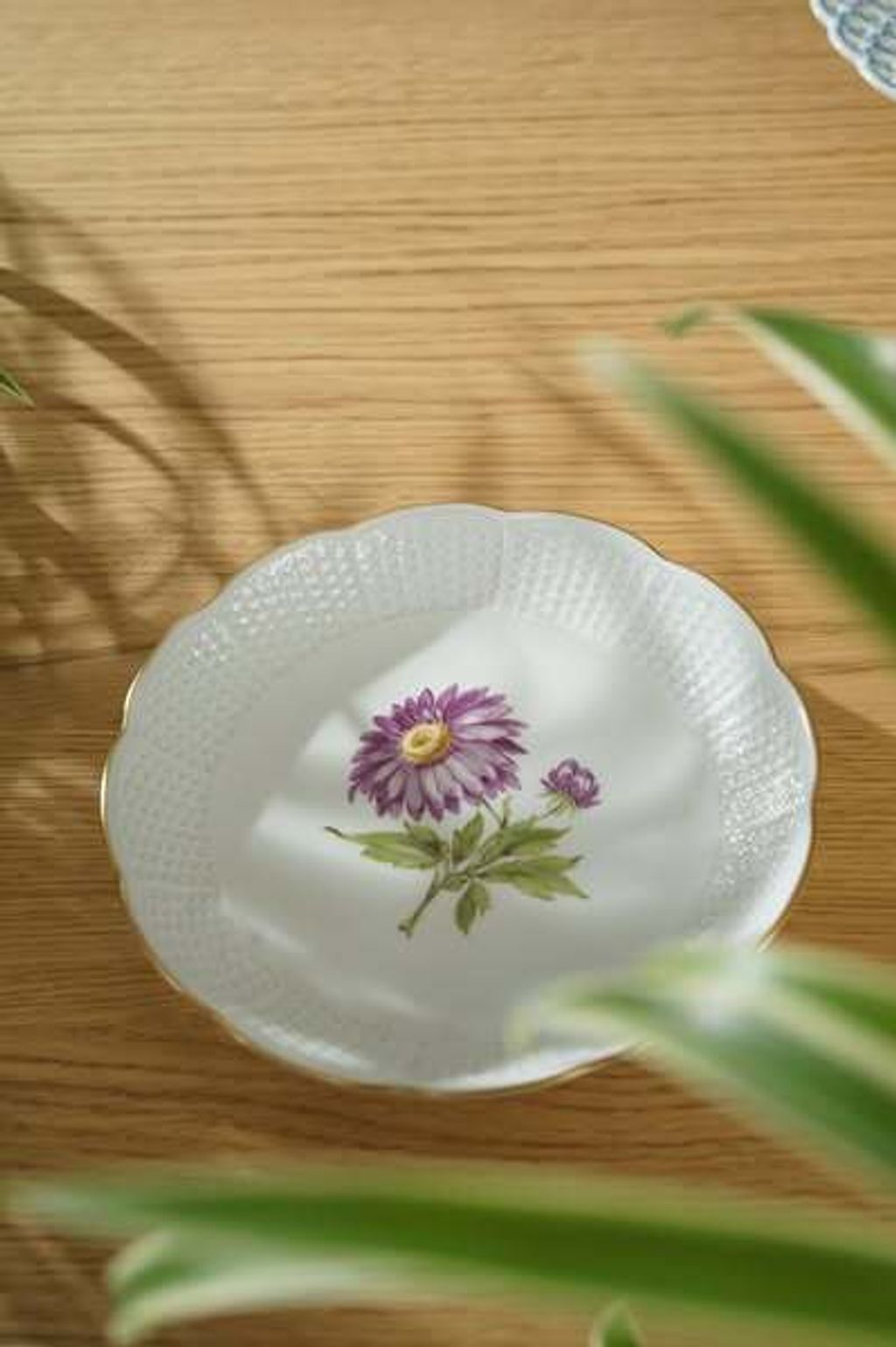 540205888_2199946980507003_1723154766702315735_n