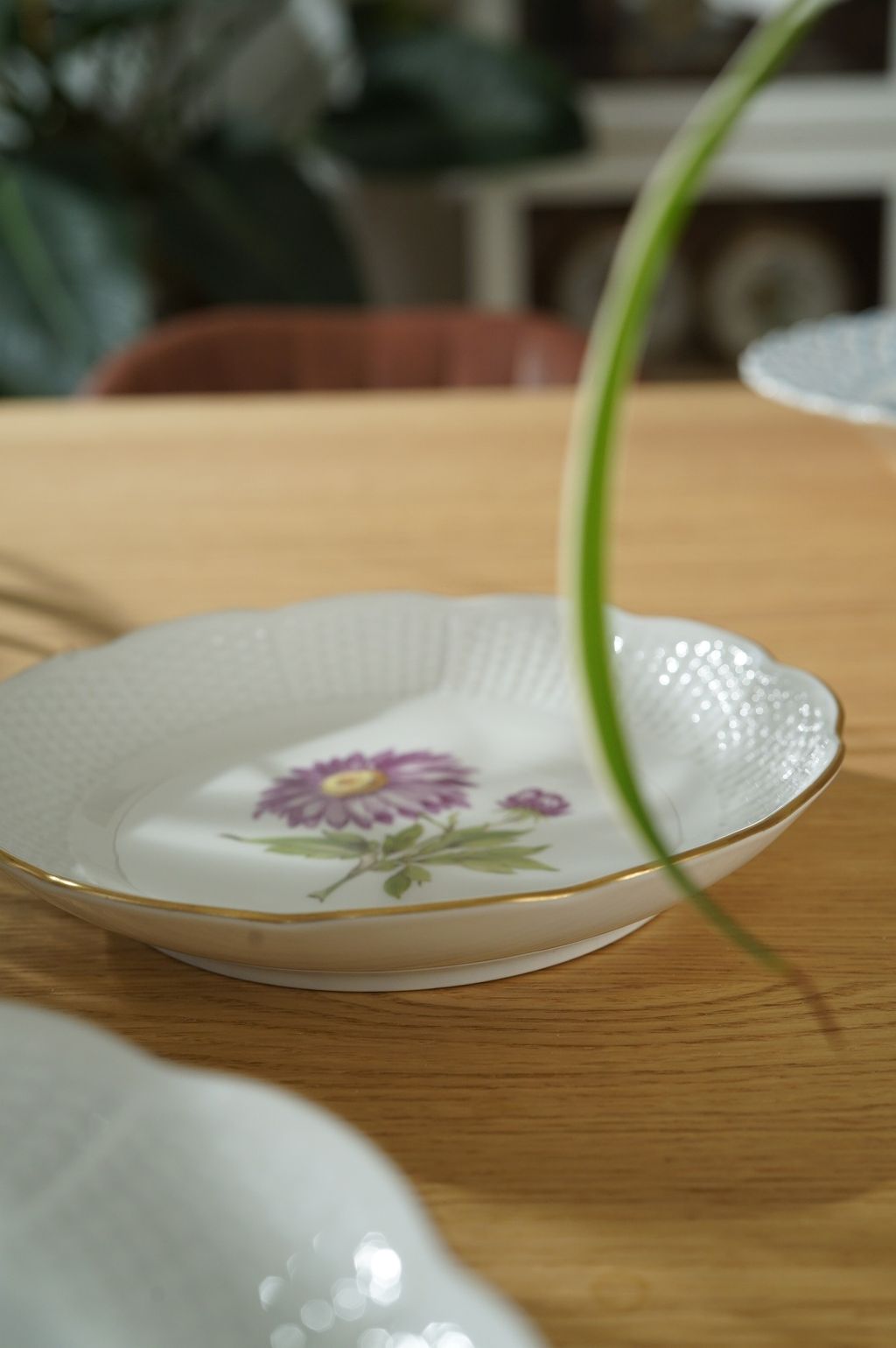 540915502_2199946973840337_4578647482437879348_n