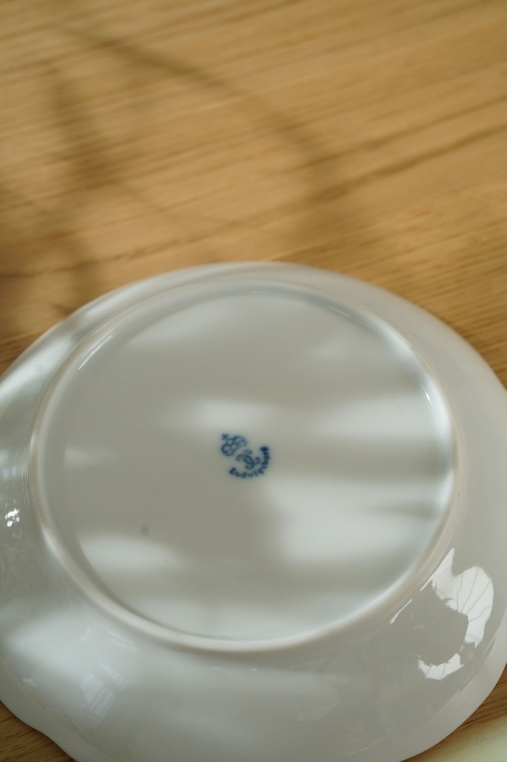 539962492_2199947047173663_7846637468780484531_n