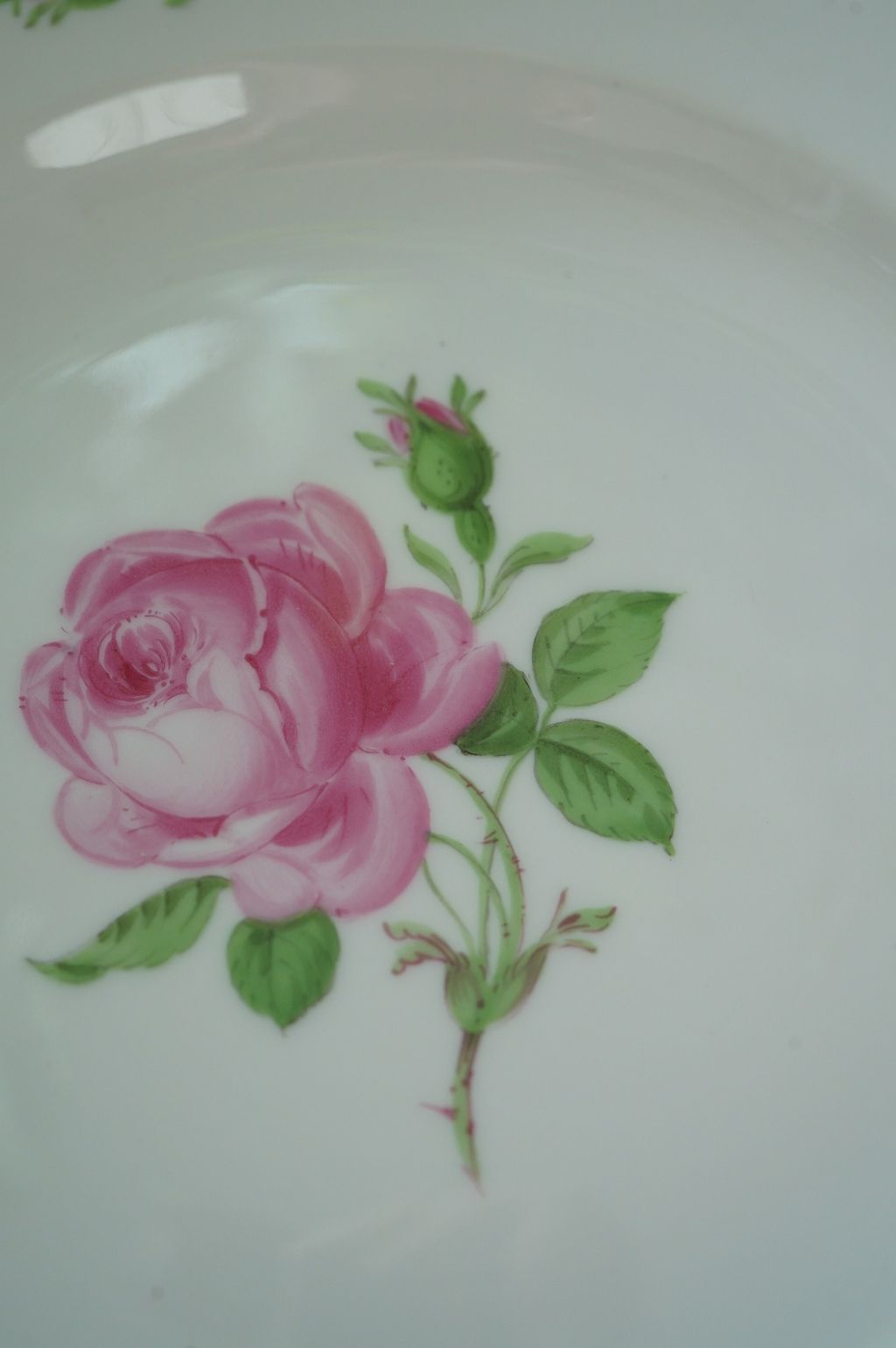 552359728_2224965191338515_5480146541583954902_n