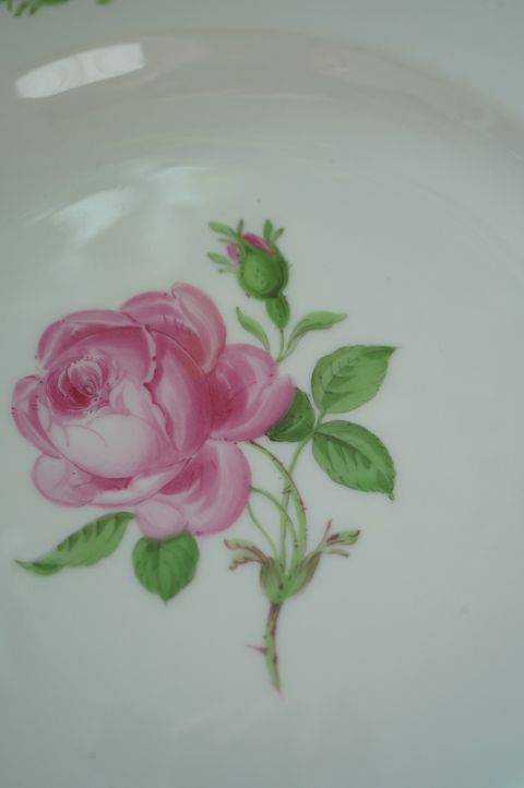 552359728_2224965191338515_5480146541583954902_n