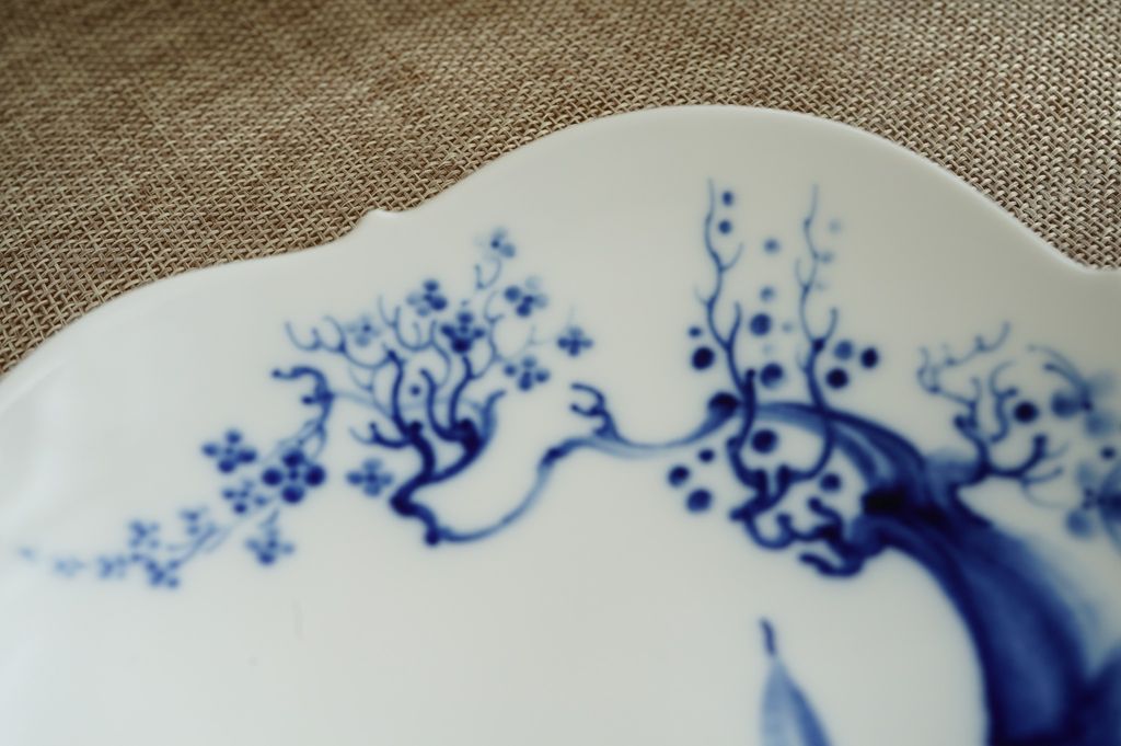 558164959_2239268003241567_8536664609065000940_n