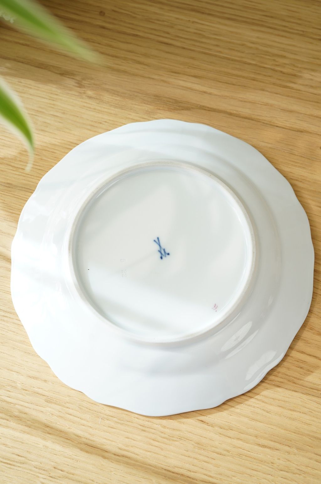 557413373_2232992907202410_4227323658613845087_n