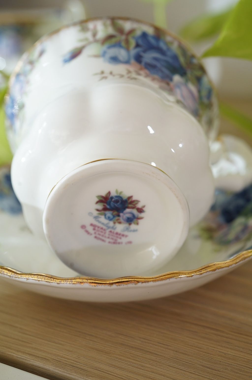 561343409_2243735246128176_5037949913232415562_n