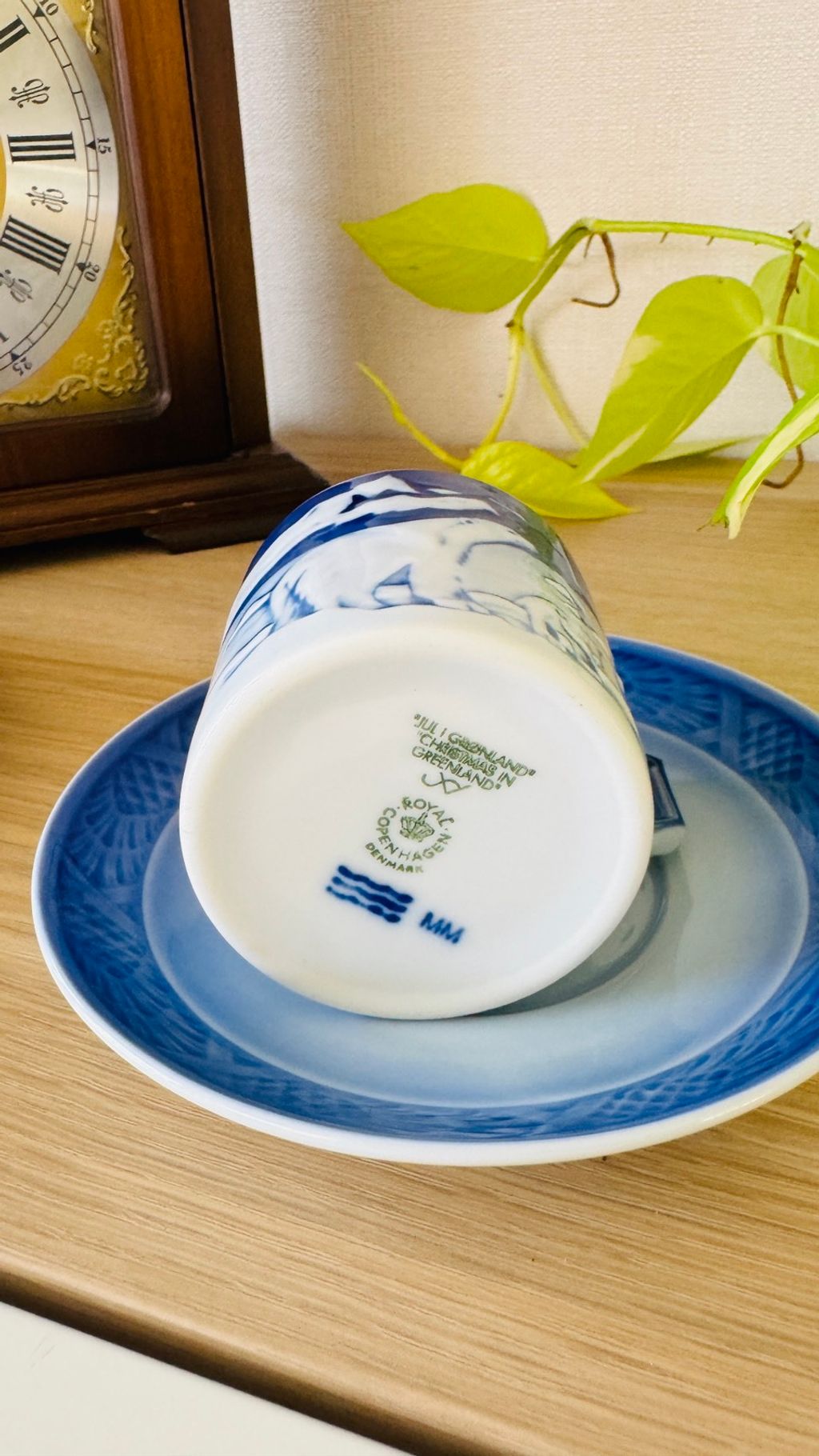 564643726_2243738486127852_388453591387595880_n