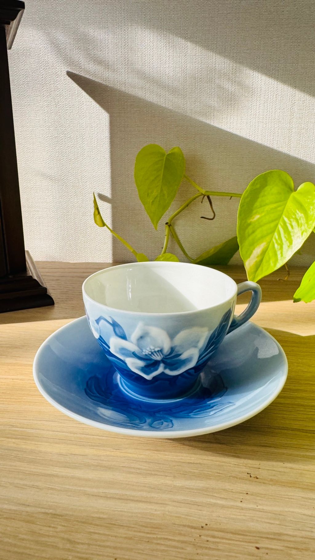 563998914_2246353302533037_8862910869378334202_n