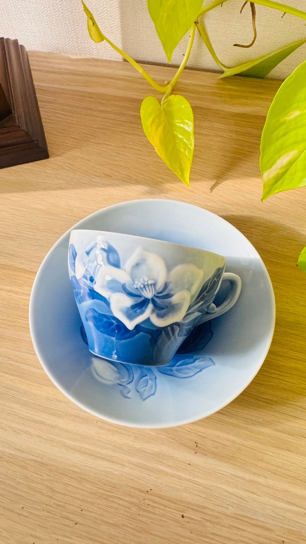 565114472_2246353265866374_1872030078191484170_n