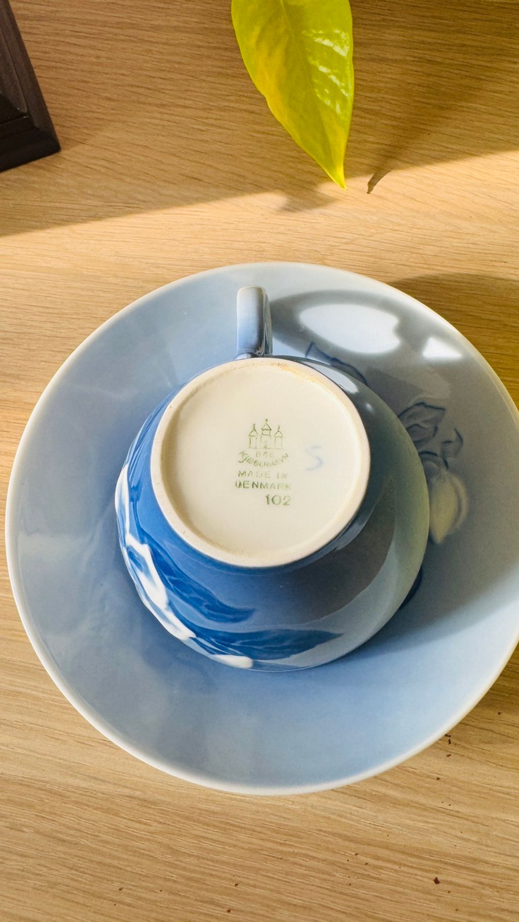 565622372_2246353339199700_6161939747352676428_n