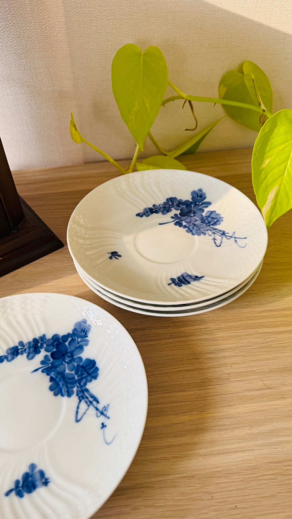 561431025_2246354729199561_1851731850230131464_n