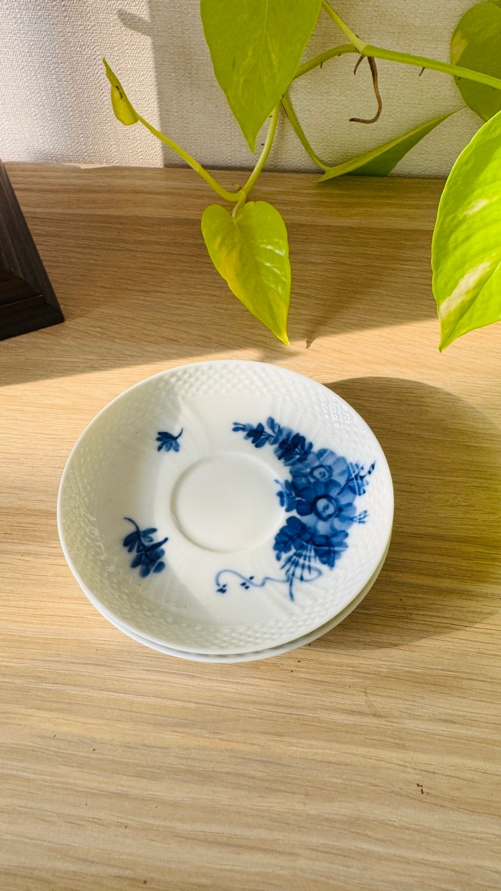 560827108_2246354045866296_6276313861312037814_n