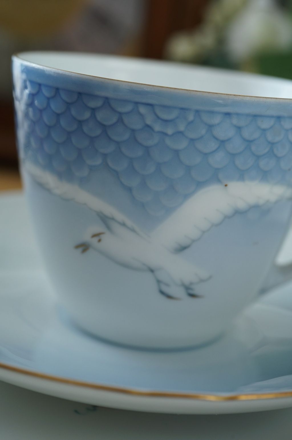 588533212_2283099822191718_4386650098612280580_n