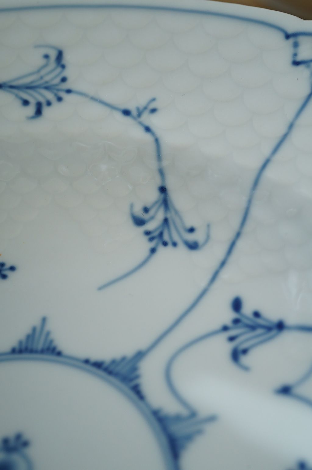 588815078_2286931251808575_7550503576099954401_n