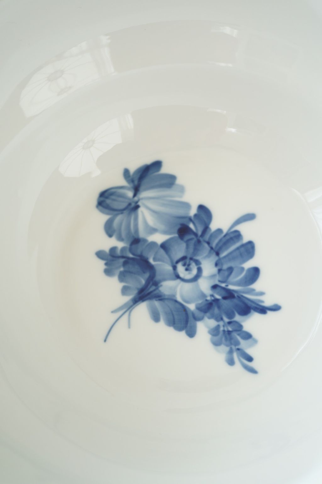 586243830_2283101995524834_229392405141321236_n