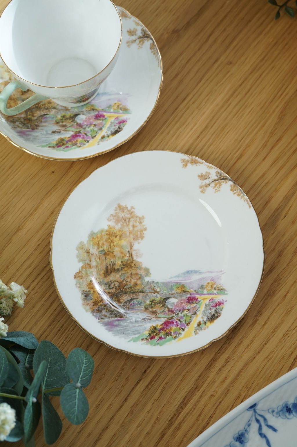 615595017_2321368611698172_3056131295236618940_n