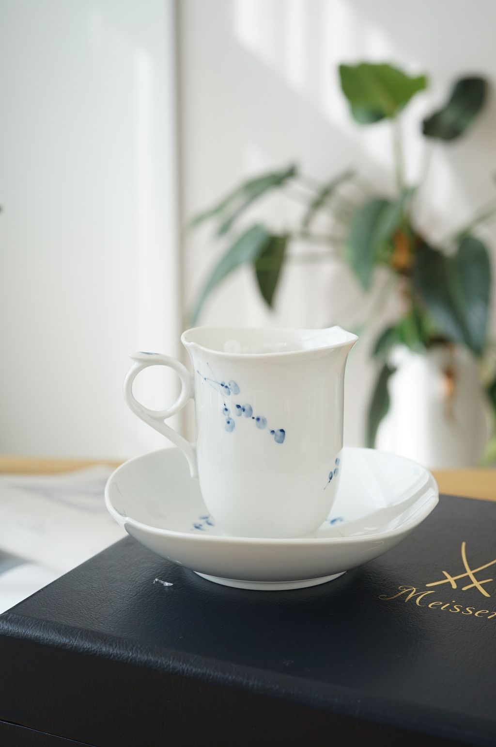 626009974_2336018956899804_1935133651204830265_n