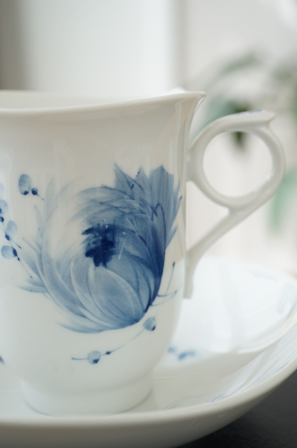 626406157_2336019050233128_1646880011087369425_n