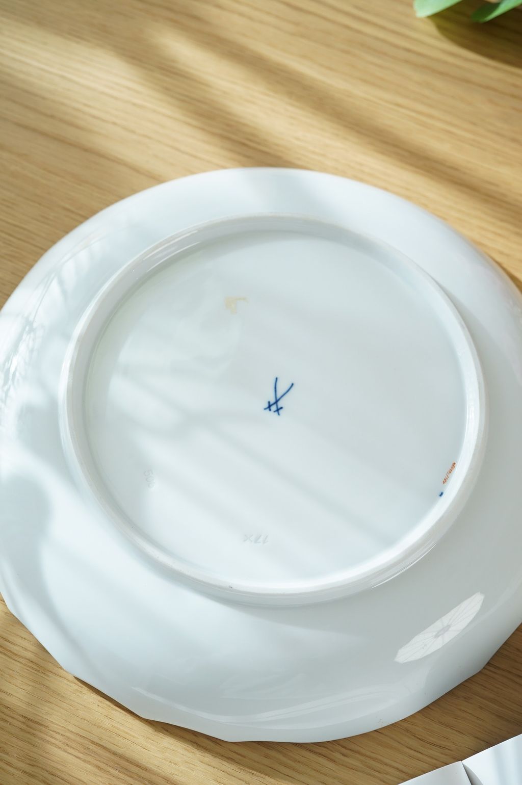 625223608_2336025166899183_7200011665736045661_n