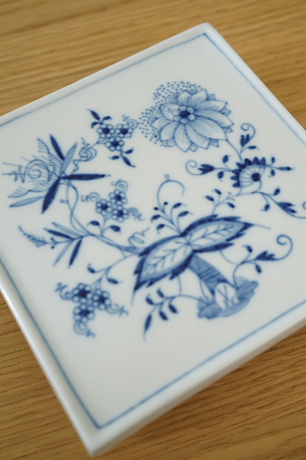 627043013_2337677550067278_3973114950866820234_n