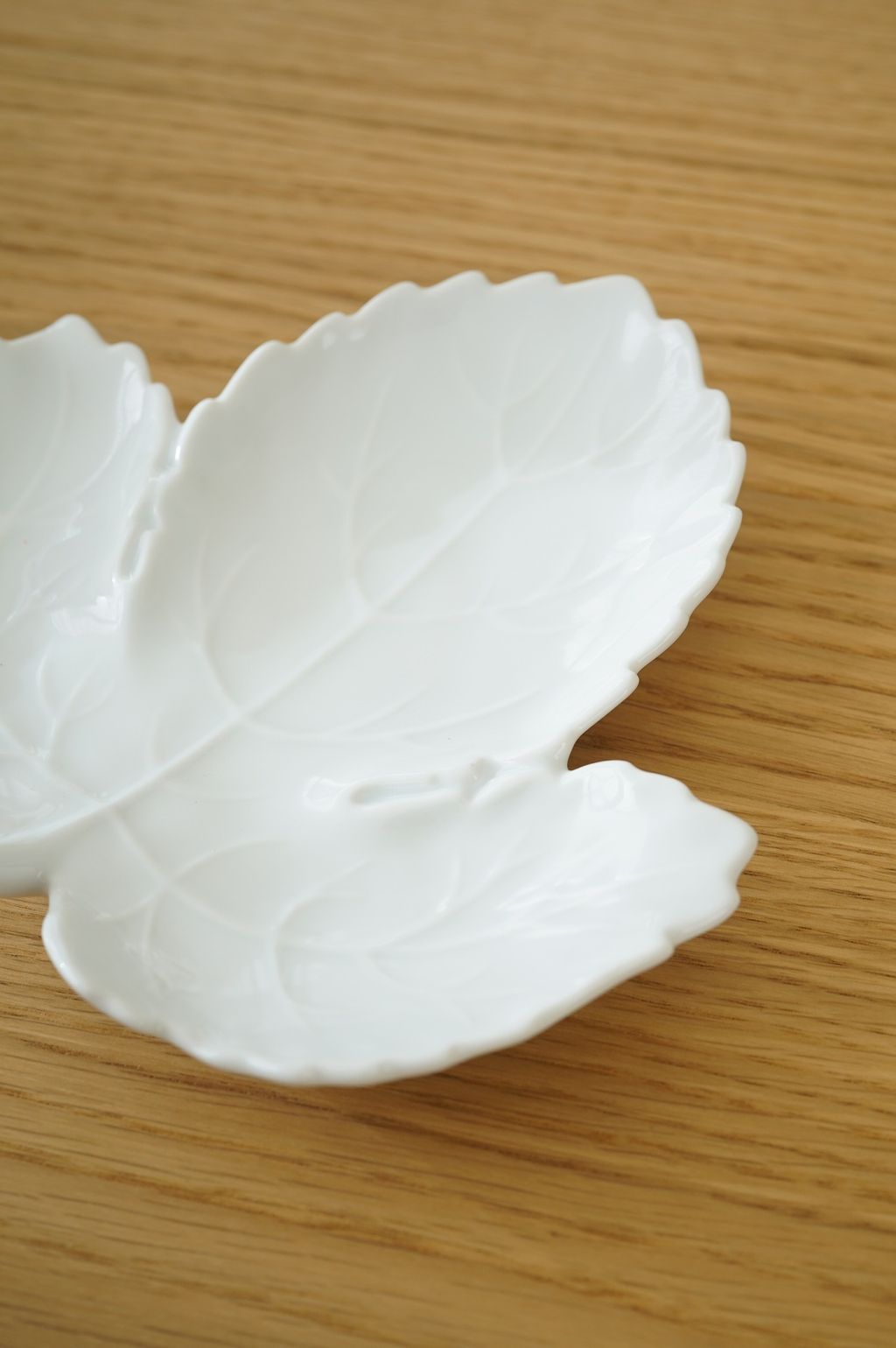 625356512_2337680846733615_4530107748539946493_n