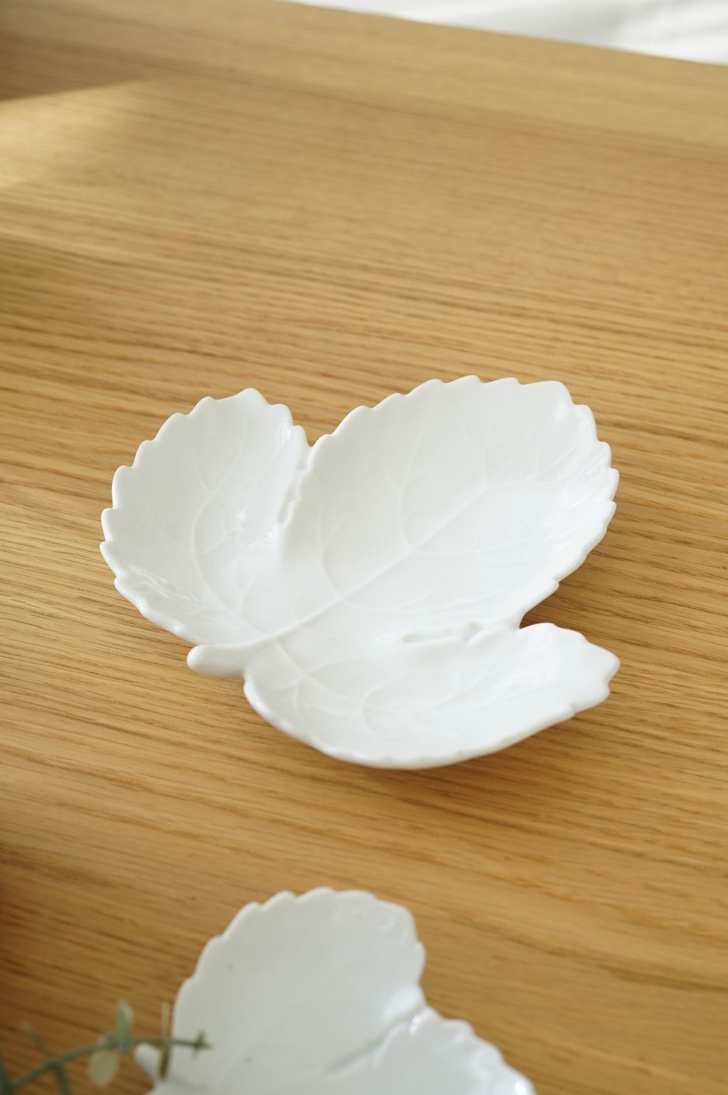 626460469_2337680876733612_8558013219924482878_n