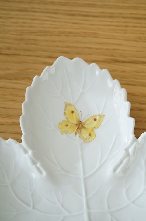 625900006_2337816150053418_1272000037611958679_n