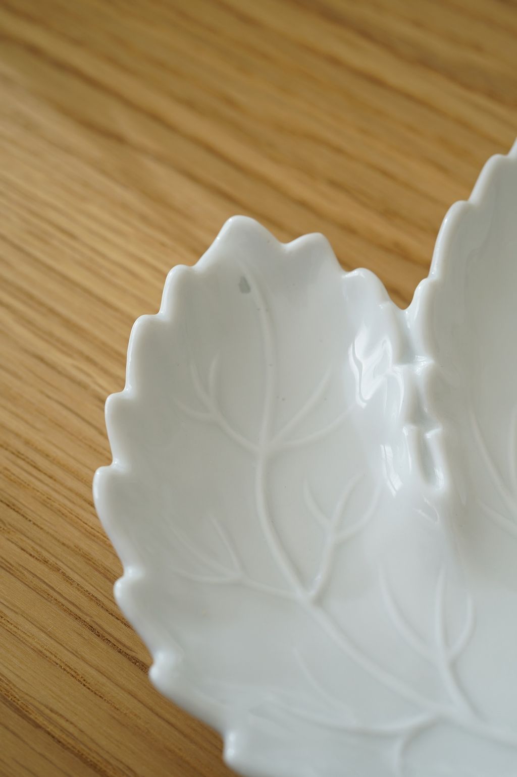 626836830_2337816153386751_4227642476882259276_n