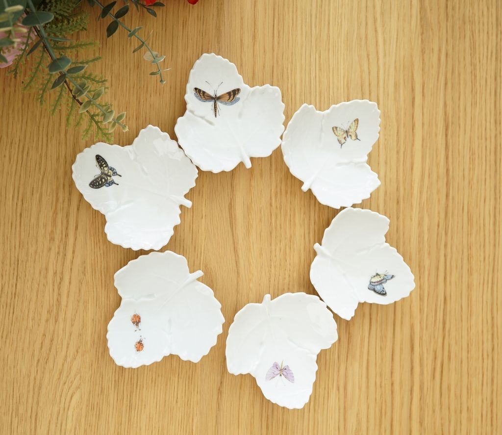 626681326_2337842826717417_3829386661831559253_n