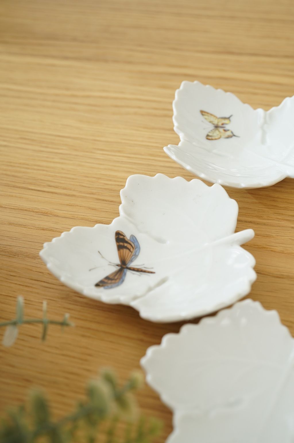 627481983_2337680213400345_8001544489916069080_n