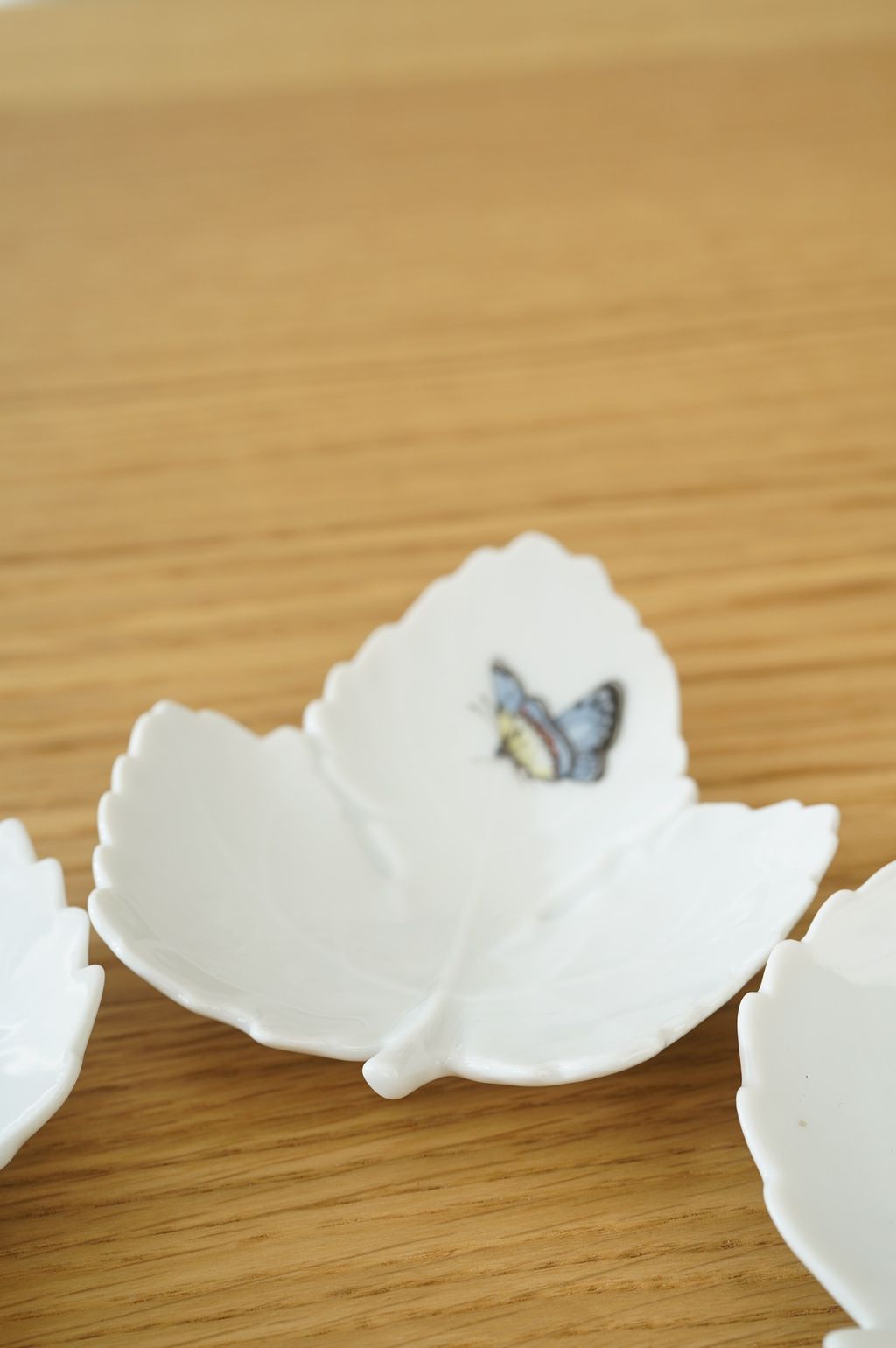 626725584_2337680310067002_8906787522774526700_n